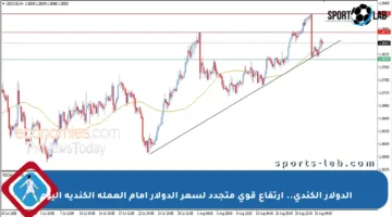 الدولار الكندي.. ارتفاع قوي متجدد لسعر الدولار أمام العملة الكندية اليوم